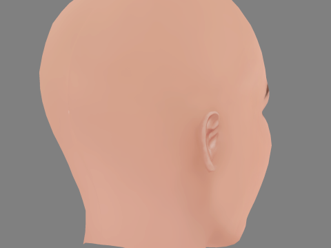 Lana Del Rey Head - No Hair - Low poly head for game 3D Model