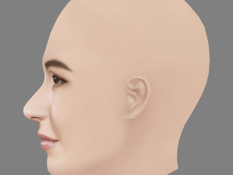 Lauren Daigle Head - No Hair - Low poly head for game 3D Модель