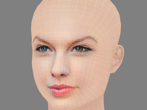 Taylor Swift Head - No Hair - Low poly head for game 3D Model