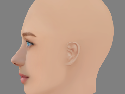 Beautiful Girl Head 09 - No Hair - Low poly head for game 3D Model