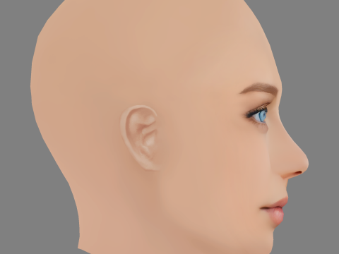 Beautiful Girl Head 09 - No Hair - Low poly head for game 3D Model