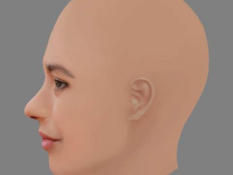 Alexandra Barton Head - No Hair - Low poly head for game 3D Model
