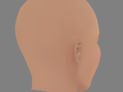 Alexandra Barton Head - No Hair - Low poly head for game 3D Model