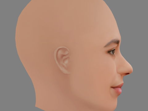 Alexandra Barton Head - No Hair - Low poly head for game 3D Model