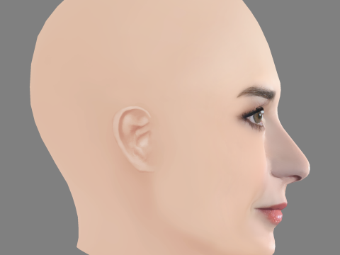 Demi Moore Head - No Hair - Low poly head for game 3D 모델