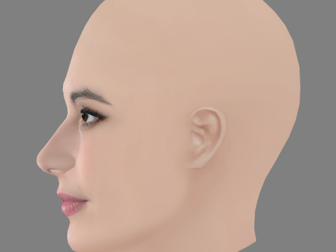 Loan Chabanol Head - No Hair - Low poly head for game Model 3D