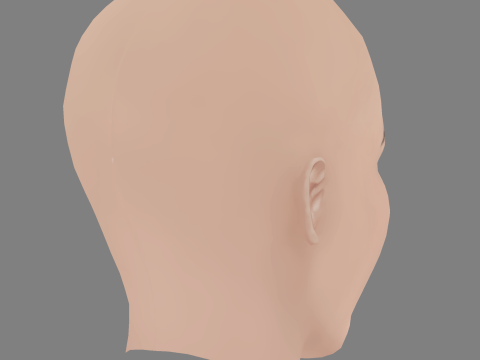 Loan Chabanol Head - No Hair - Low poly head for game Model 3D