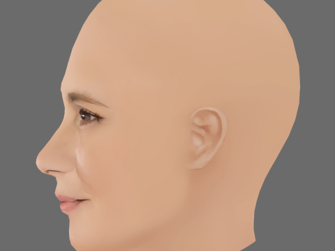 Adriana Esteves Head - No Hair - Low poly head for game 3D Model