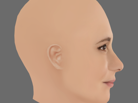Adriana Esteves Head - No Hair - Low poly head for game 3D Model