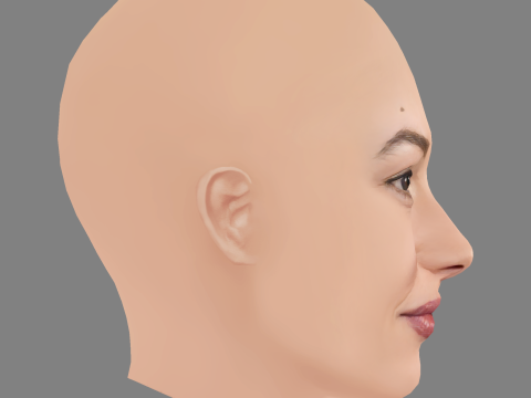 Aida Folch Head - No Hair - Low poly head for game 3D 模型