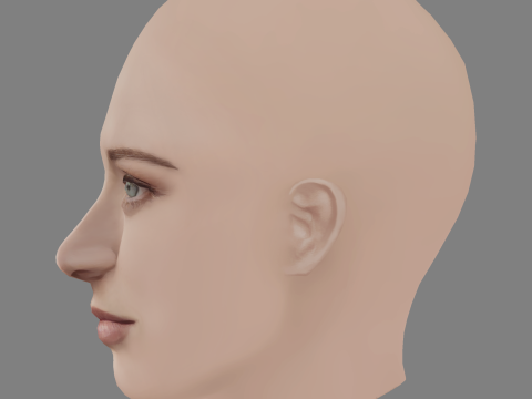 Airlie Dodds Head - No Hair - Low poly head for game 3D Модель