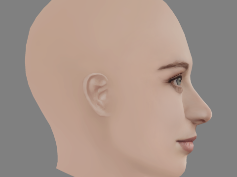 Airlie Dodds Head - No Hair - Low poly head for game 3D Модель