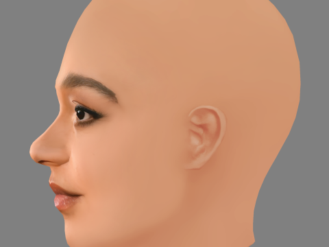 Aisha Dee Head - No Hair - Low poly head for game 3D-Modell