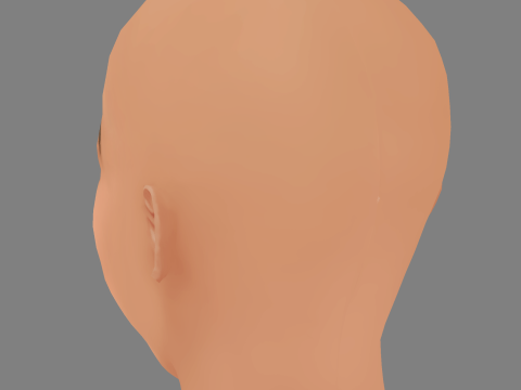 Aisha Dee Head - No Hair - Low poly head for game 3D-Modell