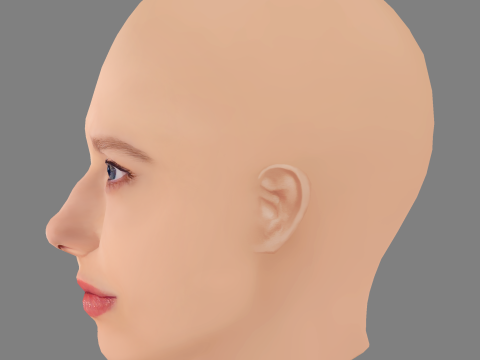 Aleksandra Bortich Head - No Hair - Low poly head for game Modello 3D