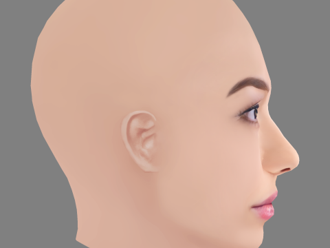 Alexis Whelan Head - No Hair - Low poly head for game 3D 모델