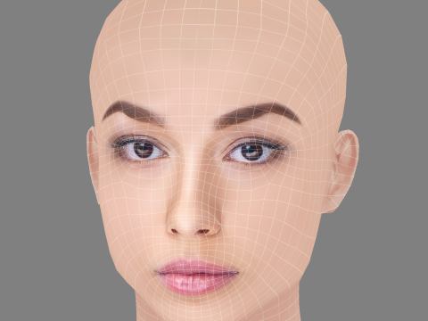 Alexis Whelan Head - No Hair - Low poly head for game 3D 모델