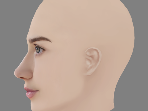 Alina Lanina Head - No Hair - Low poly head for game 3Dモデル
