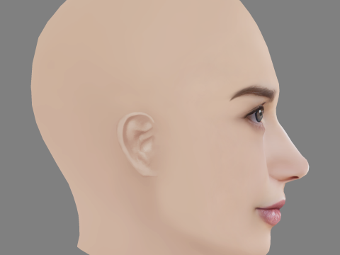 Alina Lanina Head - No Hair - Low poly head for game 3Dモデル