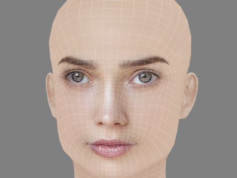 Alina Lanina Head - No Hair - Low poly head for game 3Dモデル
