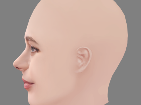 Yuliya Snigir Head - No Hair - Low poly head for game 3D Model