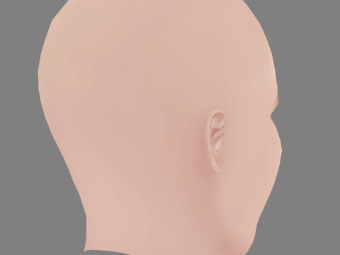 Yuliya Snigir Head - No Hair - Low poly head for game 3D Model