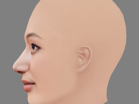 Yerin Ha Head - No Hair - Low poly head for game 3D Модель
