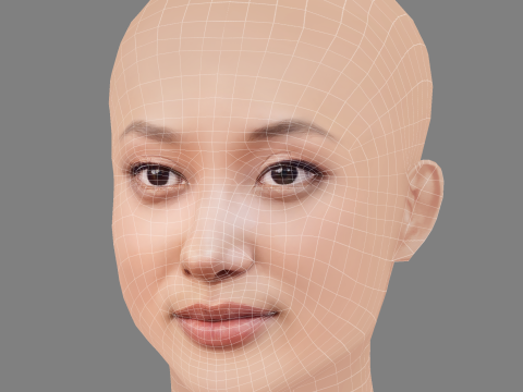 Yerin Ha Head - No Hair - Low poly head for game 3D Модель