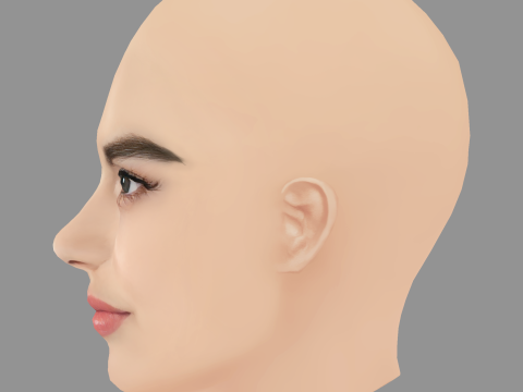 Vladislava Evtushenko Head - No Hair - Low poly head for game 3D 模型