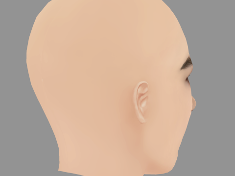 Vladislava Evtushenko Head - No Hair - Low poly head for game 3D 模型