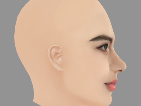 Vladislava Evtushenko Head - No Hair - Low poly head for game 3D 模型