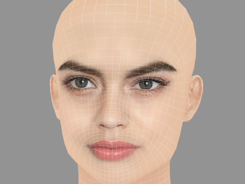 Vladislava Evtushenko Head - No Hair - Low poly head for game 3D 模型