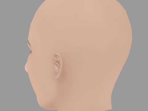 Viktoriya Isakova Head - No Hair - Low poly head for game 3D 模型
