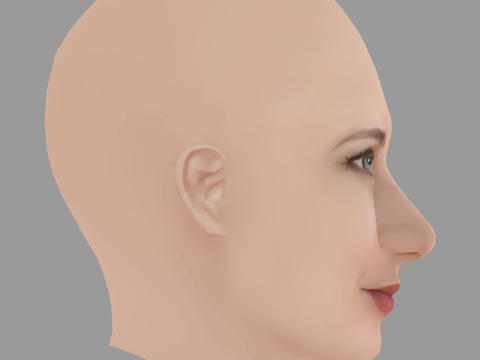 Viktoriya Isakova Head - No Hair - Low poly head for game 3D 模型