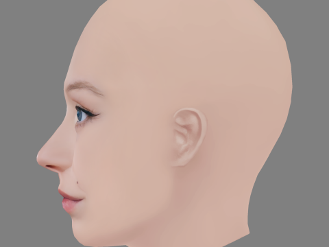 Viktoriya Agalakova Head - No Hair - Low poly head for game 3D Model