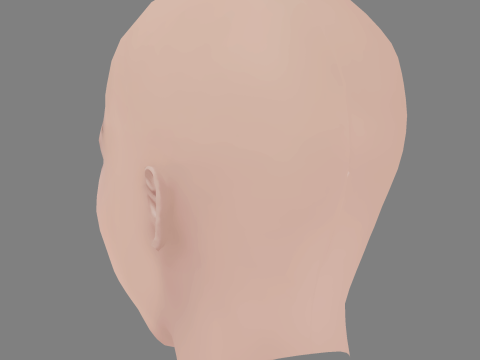 Viktoriya Agalakova Head - No Hair - Low poly head for game 3D Model