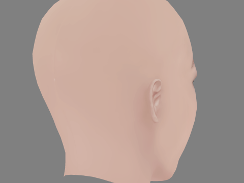 Viktoriya Agalakova Head - No Hair - Low poly head for game 3D Model