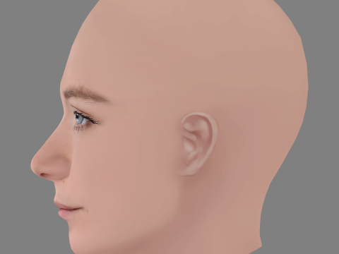 Varvara Borodina Head - No Hair - Low poly head for game 3Dモデル