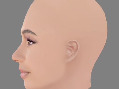 Vanessa Morgan Head - No Hair - Low poly head for game 3D 模型