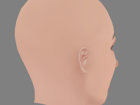 Vanessa Morgan Head - No Hair - Low poly head for game 3D 模型