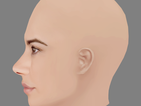 Vanessa Giacomo Head - No Hair - Low poly head for game 3D Model