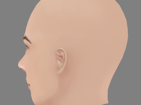 Vanessa Giacomo Head - No Hair - Low poly head for game 3D Model
