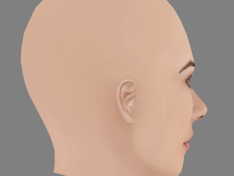 Vanessa Giacomo Head - No Hair - Low poly head for game 3D Model