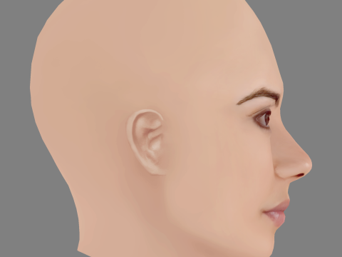 Vanessa Giacomo Head - No Hair - Low poly head for game 3D Model