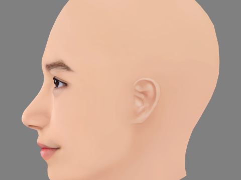 Trinity Bliss Head - No Hair - Low poly head for game 3D 模型