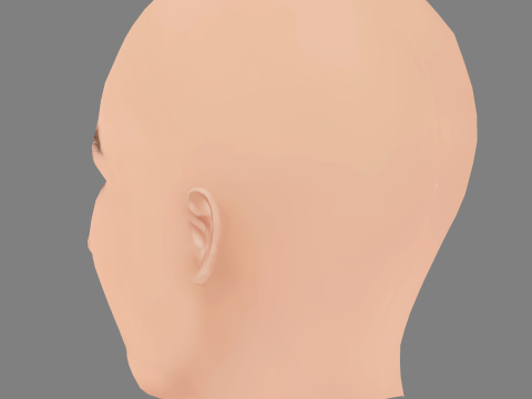 Trinity Bliss Head - No Hair - Low poly head for game 3D 模型