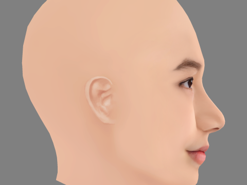Trinity Bliss Head - No Hair - Low poly head for game 3D 模型