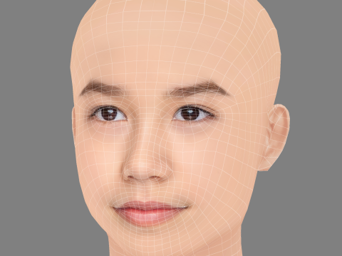 Trinity Bliss Head - No Hair - Low poly head for game 3D 模型