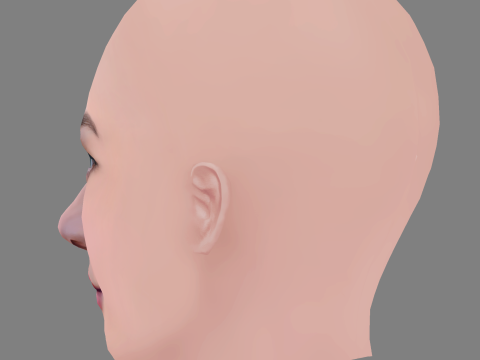 Tilly Keeper Head - No Hair - Low poly head for game Model 3D