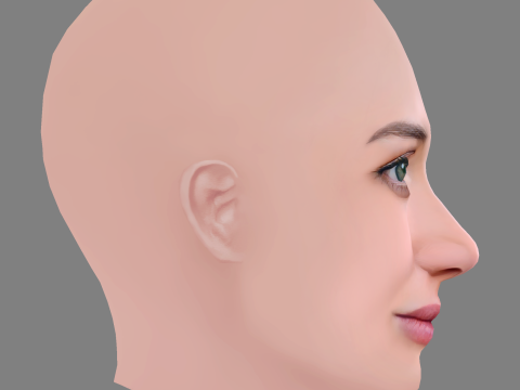 Tilly Keeper Head - No Hair - Low poly head for game Model 3D